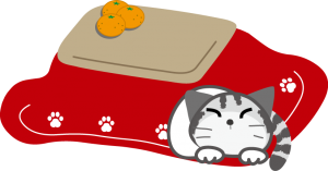 猫はコタツで丸くなる