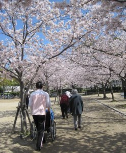 桜並木を散歩　「えっちら、おっちら」
