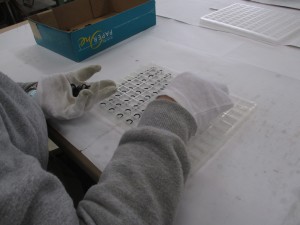 IMG_0329@ 3